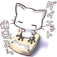 サンプル画像