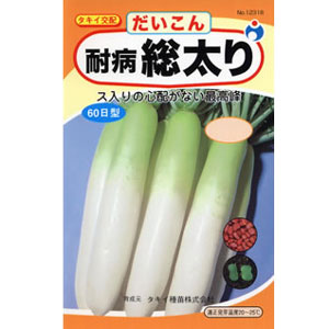 サンプル画像