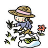 サンプル画像