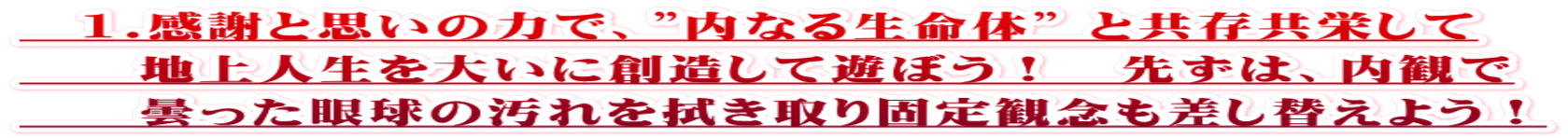 　1.感謝と思いの力で、”内なる生命体” と共存共栄して 　　地上人生を大いに創造して遊ぼう！　先ずは、内観で 　　曇った眼球の汚れを拭き取り固定観念も差し替えよう！